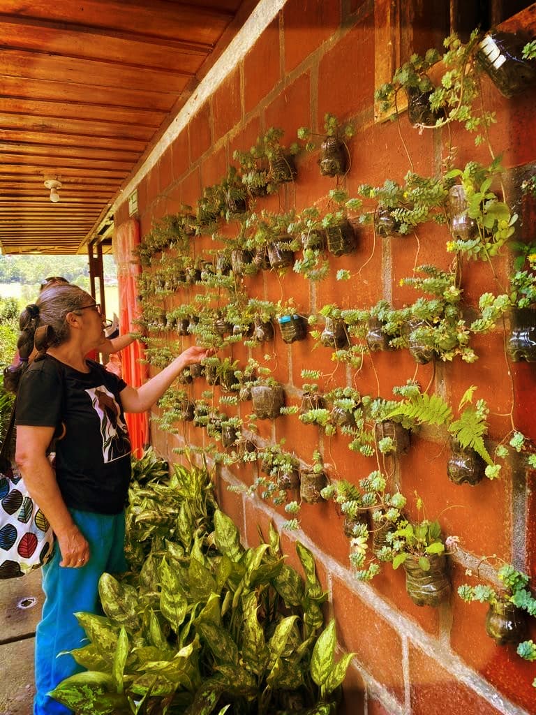 Nuestro jardín familiar